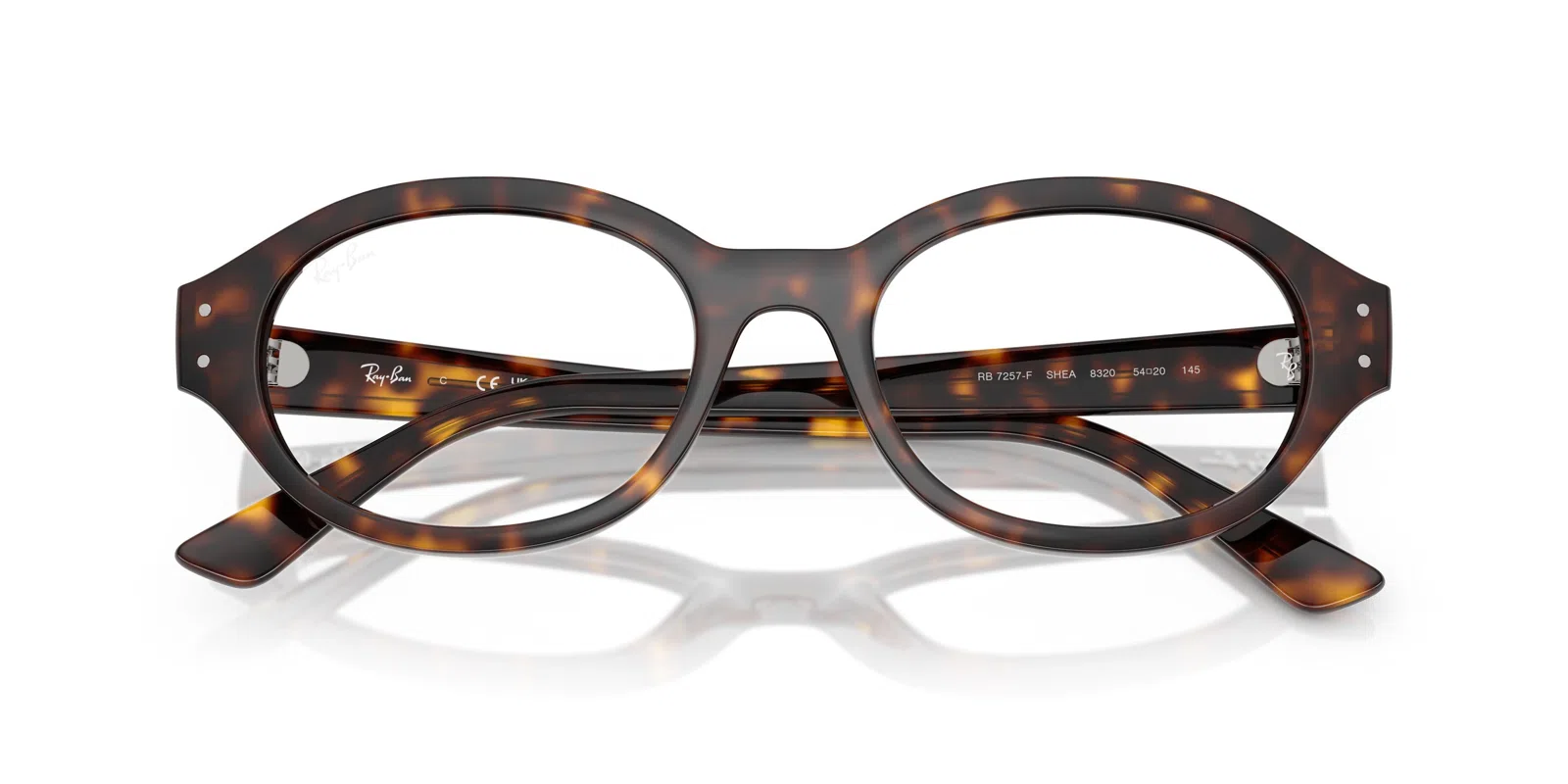 Ray-Ban Shilo 7257 Eyeglasses - view 17
